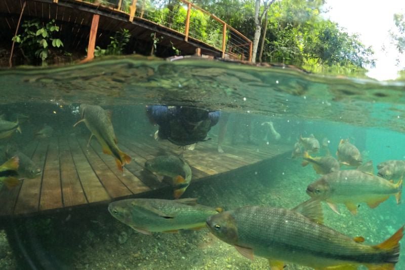 flutuação na praia