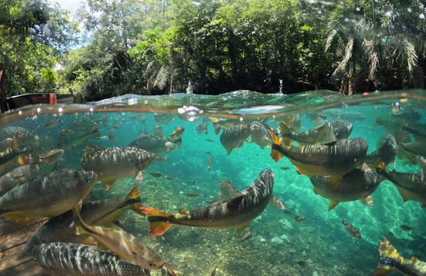 flutuação em bonito ms é na praia da figueira