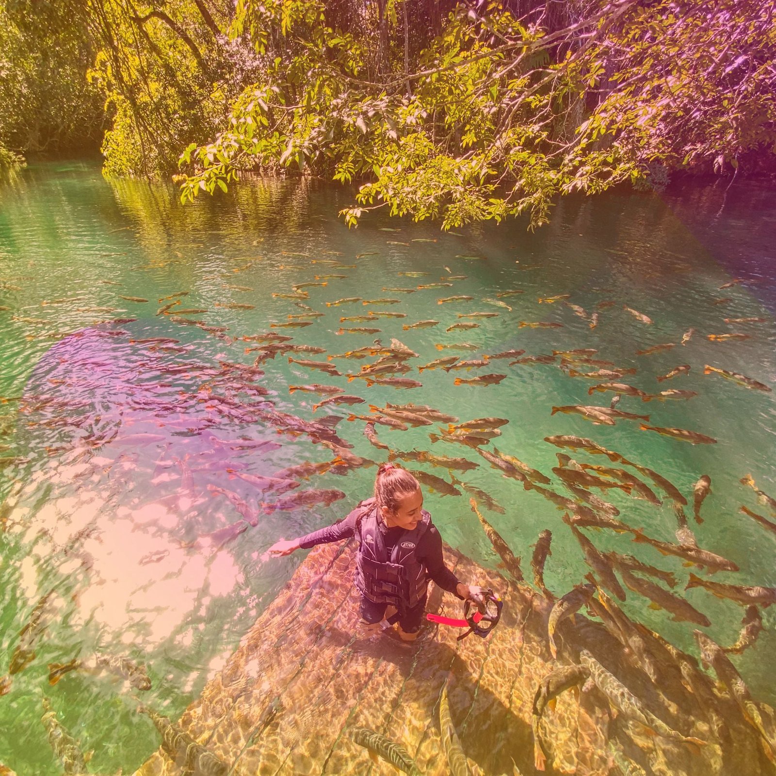 Balneário Ilha Bonita - Bonito - Mato Grosso do Sul - Brasil - Drone  Photography