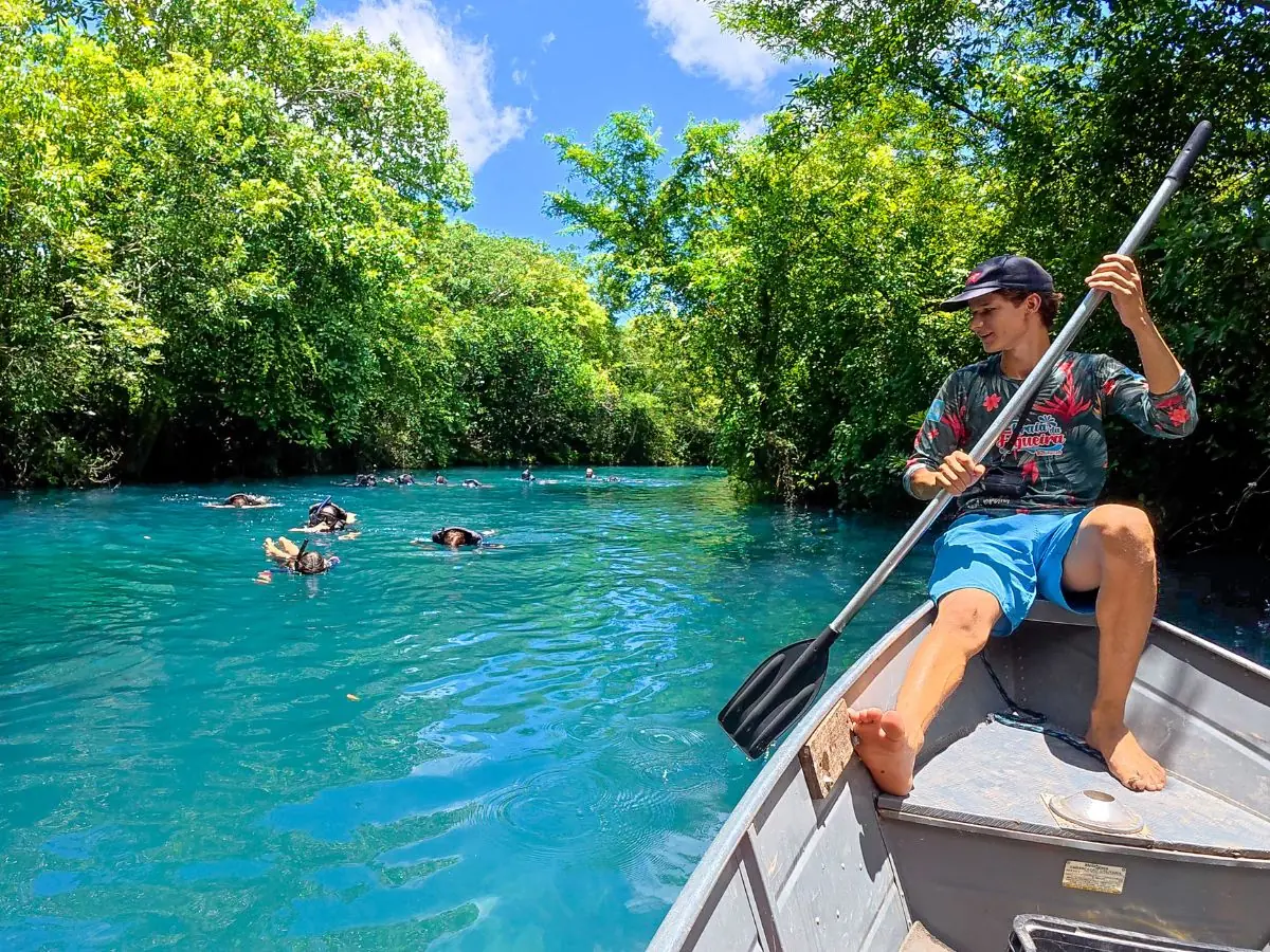 Guided float trip on the crystal-clear stretch of the Rio Formoso, inside Praia da Figueira